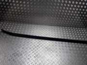 Dachreling Linke Nissan X-Trail, 2001.06 - 2007.06 738338H300,