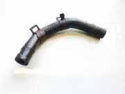 K?hlerschlauch Hyundai Trajet, 2000.03 - 2008.07 Gebraucht,