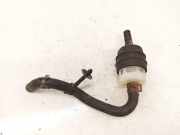 Kraftstofffilter Tesla Model S, I 2012.01 - 2016.06 15144100191,