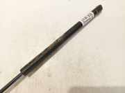 Gasdruckfeder Kofferraum Volkswagen Passat, B5+ 2000.11 - 2005.05 109902, AWX