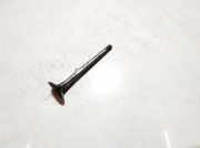 Auslassventil Fiat Bravo, 1995.10 - 2001.10 Gebraucht,