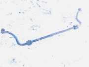 Stabilisator Vorne Peugeot Partner, I 2003.01 - 2009.06 facelift Gebraucht,