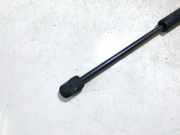 Gasdruckfeder Kofferraum Renault Megane, II 2002.11 - 2006.06 8200119497,