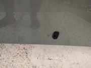 Waschwasserdüse Scheibenreinigung Ford Focus, 1998.10 - 2002.10 Gebraucht,