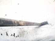 Rollenführung Schiebetür Citroen Jumpy, II 2007.01 - 2016.02 Gebraucht,