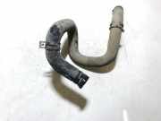 Kühlerschlauch Ford Focus, 1998.10 - 2002.10 Gebraucht,