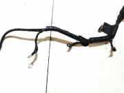 Zündkabel Ford C-MAX, 2003.01 - 2007.06 9655525780,