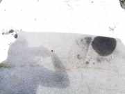 Bodenbelag Kofferraum Audi A1, 2010.05 --> 9454212,