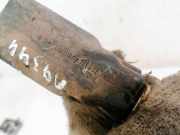 Türfangband Türbremse Türstopper - Vorne Rechts Volkswagen Jetta, MK2 1984.01 - 1992.07 191837323A,