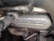 Abgaskühler AGR-Kühler Volkswagen Passat, B6 2005.08 - 2010.11 038131513ad, BKC