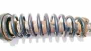 Fahrwerksfeder vorne Honda Civic, 1995.10 - 2001.03 Gebraucht,