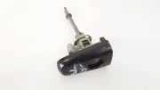 Schließzylinder Peugeot 4007 2007 - 2012 Gebraucht,