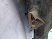 Türfangband Türbremse Türstopper - Hinten Linke Seat Alhambra, 2000.06 - 2010.03 facelift Gebraucht,