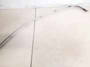 Zierleiste Leiste - Hinten Linke BMW 5-Series, E39 1995.11 - 2003.06 Gebraucht,