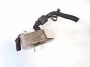 Abgaskühler AGR-Kühler Volkswagen Touareg, 2002.10 - 2007.09 7l6203491a, 043050803 BAC