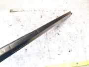 Dachreling Linke Nissan X-Trail, 2001.06 - 2007.06 738338h300,