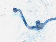 Stabilisator Stabi Hinten Hinterachse Opel Vectra, B 2000.09 - 2002.04 facelift Gebraucht,