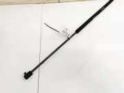 Gasfeder für Motorhaube Audi 100, C4 1991.01 - 1994.06 062393450N,