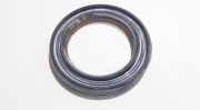 Federteller Nissan X-Trail, 2001.06 - 2007.06 540344u000,