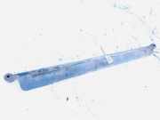 Stabilisator Stabi Hinten Hinterachse Kia Sorento, I 2002.01 - 2009.06 Gebraucht,