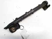 Kraftstoffverteiler Volkswagen Golf, IV 1997.08 - 2003.10 06A133317A,