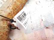 Stoßdämpfer - Vorne Linke Volkswagen Golf, IV 1997.08 - 2003.10 1j0413031ae, AGR