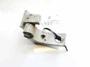 Türscharnier Vorne Fiat Punto, 2005.10 - 2012.03 Gebraucht,
