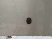 Waschwasserdüse Scheibenreinigung Mazda 323F, 1998.09 - 2004.05 Gebraucht,