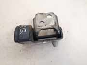 Türscharnier Hinten Peugeot 207, 2006.02 - 2009.06 Gebraucht,