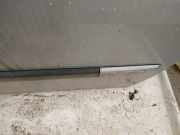 Zierleiste Tür Zier-Schutzleiste - Vorne Rechts Renault Megane, II 2002.11 - 2006.06 Gebraucht,