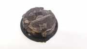 Blende Scheinwerfer - Vorne Ford Transit Connect 2002.06 - 2008.12 88204985,