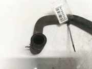 Kühlerschlauch Ford Focus, 2004.11 - 2008.06 Gebraucht,