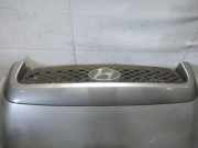 Kühlergrill Frontgrill Kühlergitter Hyundai Santa Fe, 2000.11 - 2006.03 Gebraucht,