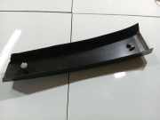 Schutzleiste Tür - Vorne Linke Citroen C4, I 2004.11 - 2008.06 9647010177, 9647010177 9653631777