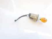 Gl?hbirnenfassung Blinker Opel Astra, G 1998.09 - 2004.12 149019,