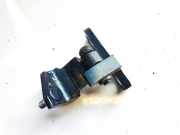 Türscharnier Hinten Volkswagen Phaeton, 2002.04 - 2006 3d4833402, AYT