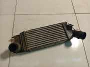 Ladeluftkühler Citroen C5, II 2008.02 - 2011.01 9657073240,9657073240 992506V F 992506VF