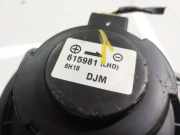 Gebl?semotor Chevrolet Captiva, 2006.01 - 2011.06 615981,