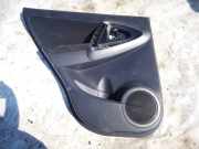 T?rverkleidung - Hinten Linke Toyota RAV-4, III 2005.11 - 2012.12 67788x1b02,67788-x1b02