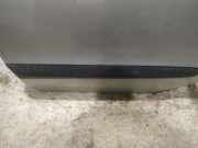 Zierleiste T?r Zier-Schutzleiste - Hinten Linke Renault Scenic, I 1999.09 - 2003.06 facelift Gebraucht,