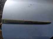 Zierleiste T?r Zier-Schutzleiste - Hinten Linke Nissan Primera, P12 2002.01 - 2008.12 Gebraucht,