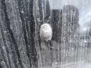 Waschwasserd?se Scheibenreinigung Nissan Almera, N16 2000.06 - 2003.01 Gebraucht,