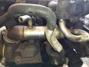 Abgaskühler AGR-Kühler Ford Focus, 1998.10 - 2002.10 Gebraucht,