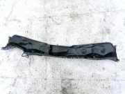 Windlauf Wischerabdeckung Audi A6, C5 2001.08 - 2005.01 facelift Gebraucht,