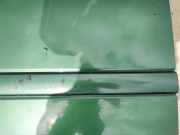 Zierleiste Tür Zier-Schutzleiste - Vorne Linke Nissan X-Trail, 2001.06 - 2007.06 Gebraucht,