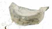 Radhausschale - Hinten Linke Renault Scenic, II 2003.06 - 2006.06 Gebraucht ,