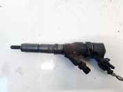 Einspritzdüse Peugeot 307, 2000.08 - 2005.06 0445110076, 9641742880