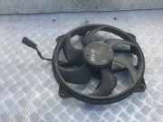 Kühlerlüfter Lüftermotor Peugeot 307, 2000.08 - 2005.06 Gebraucht,