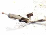 Tankeinfüllstutzen Tankrohr Kraftstoffrohr Citroen C5, I 2004.08 - 2008.02 facelift Gebraucht ,