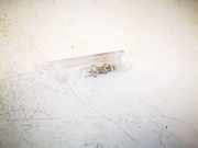 Innenraumleuchte BMW 6-Series E63 E64 2003.01 - 2010.12 6961999,